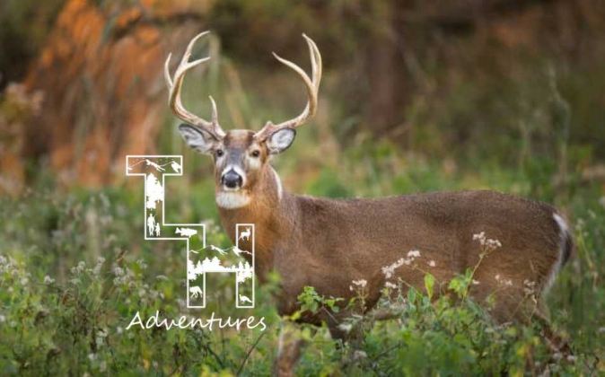 Tennessee Toad! • True Life Hunting Adventures