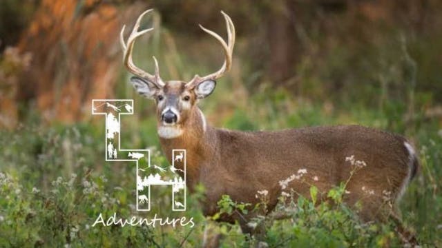 Tennessee Toad! • True Life Hunting A...