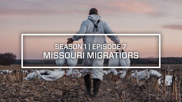 Last Pass Episode 7 • Missouri Migrators • Final Approach