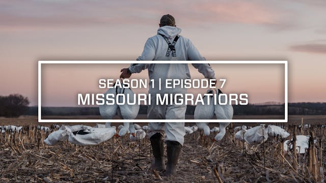 Last Pass Episode 7 • Missouri Migrat...