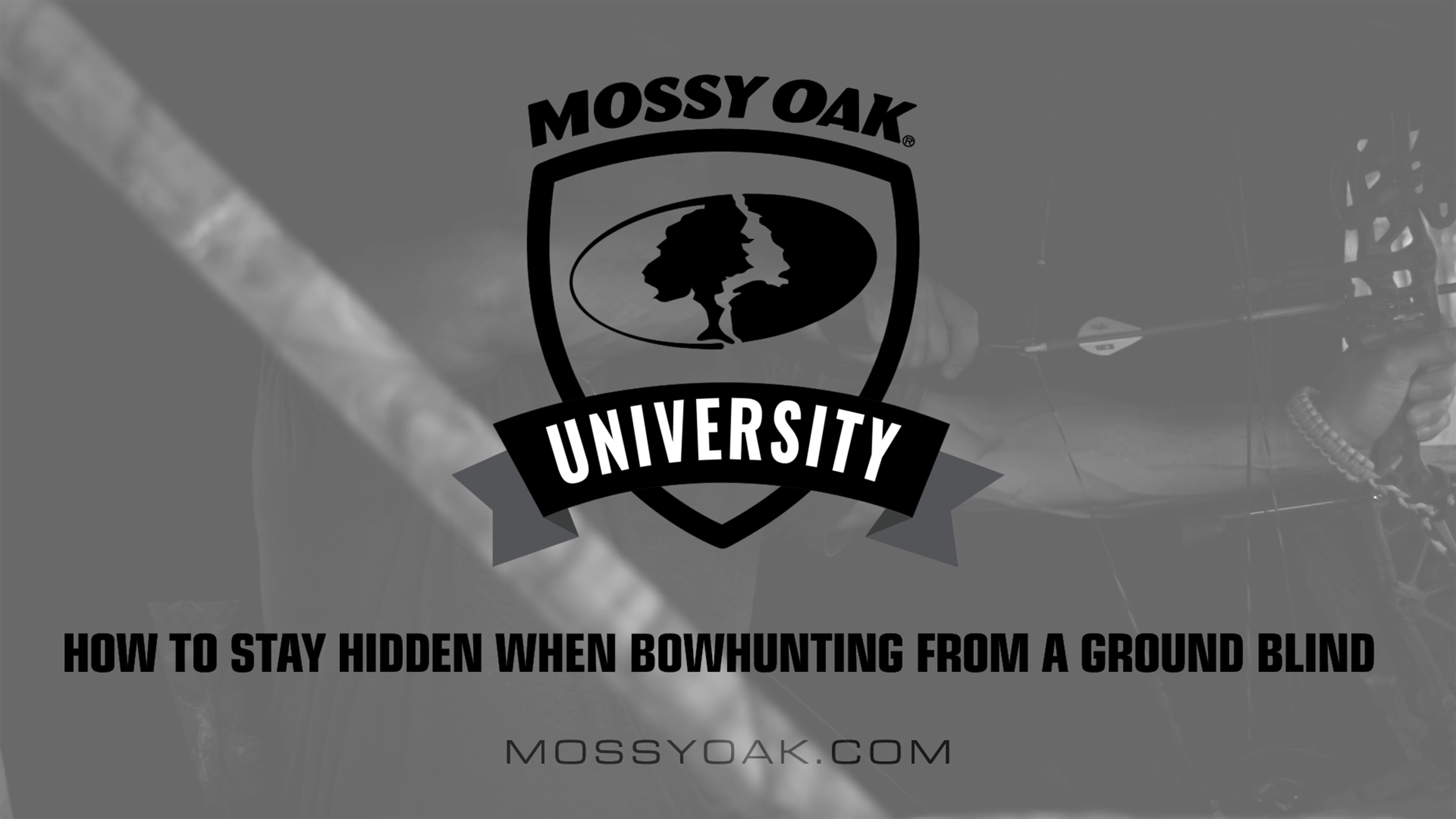 Bowhunting from Ground Blinds • 4 How to Stay Hidden