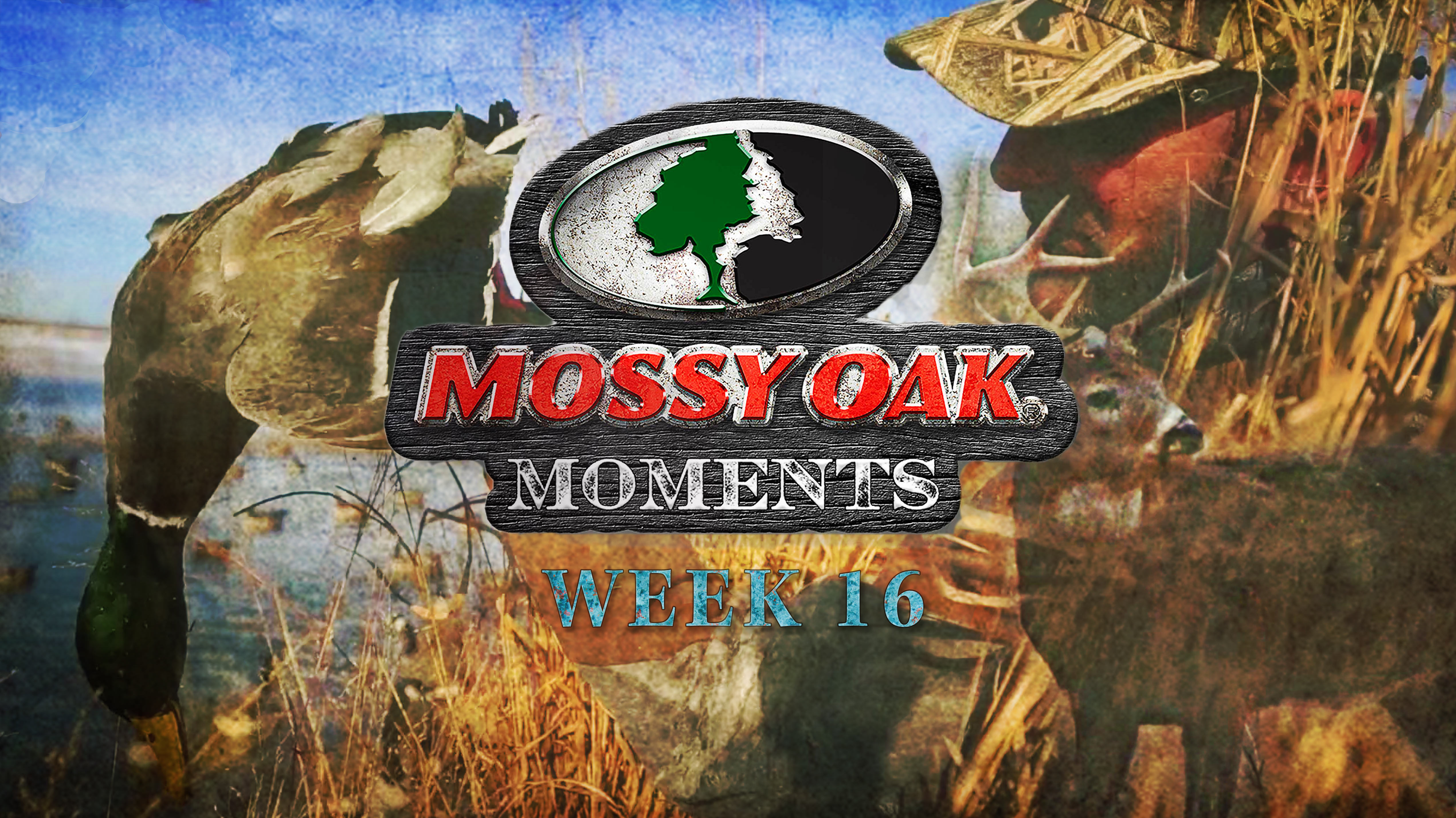 Live: 12.21.2020 Mossy Oak Moments Replay