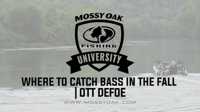 Where to Catch Bass in the Fall - Ott DeFoe Fishing Tips