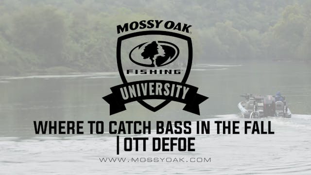 Where to Catch Bass in the Fall - Ott...