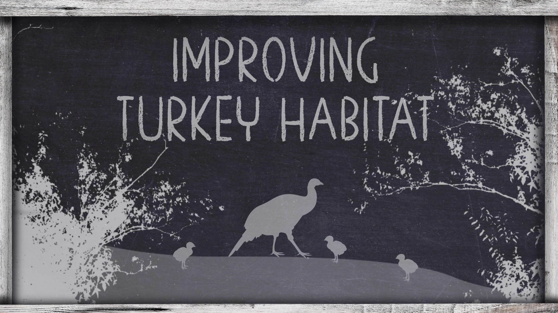 OnX Turkey Academy • Lesson 6 | Habitat Improvements