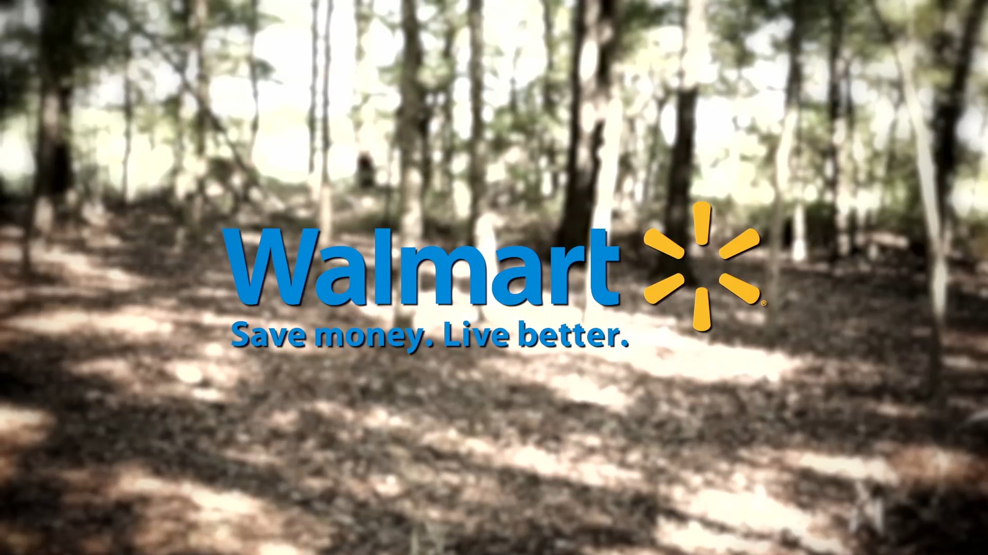 The Lull • Turkey Hunting in Nebraska