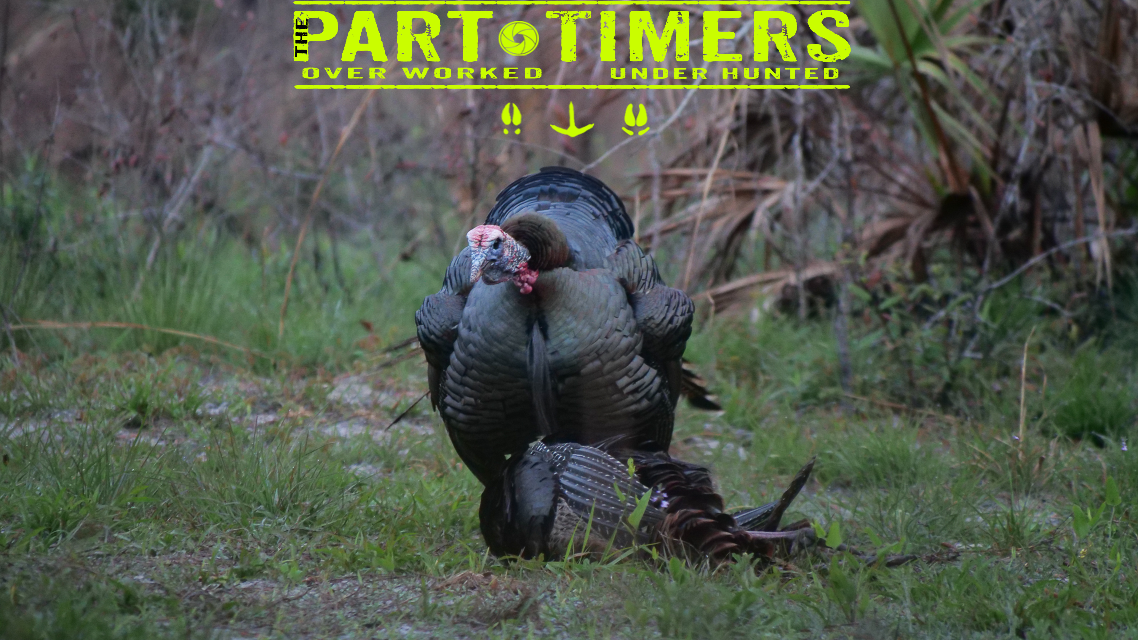 2024 Seamark Ranch Turkey Hunt - Part Two • The Part Timers