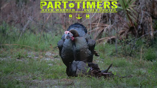 2024 Seamark Ranch Turkey Hunt - Part...