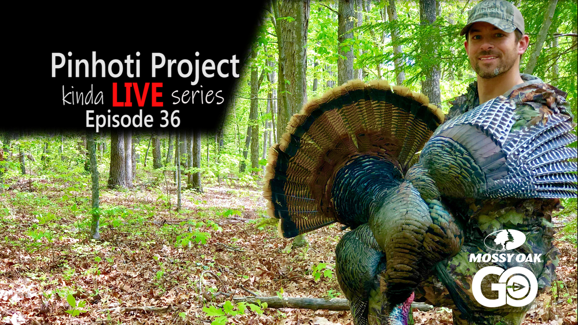 Kinda Live • Episode 36 • Pinhoti Project