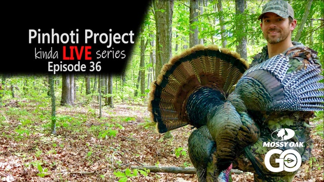 Kinda Live • Episode 36 • Pinhoti Project