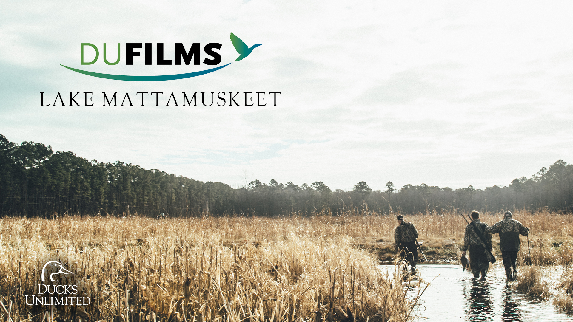Lake Mattamuskeet  • DU Films