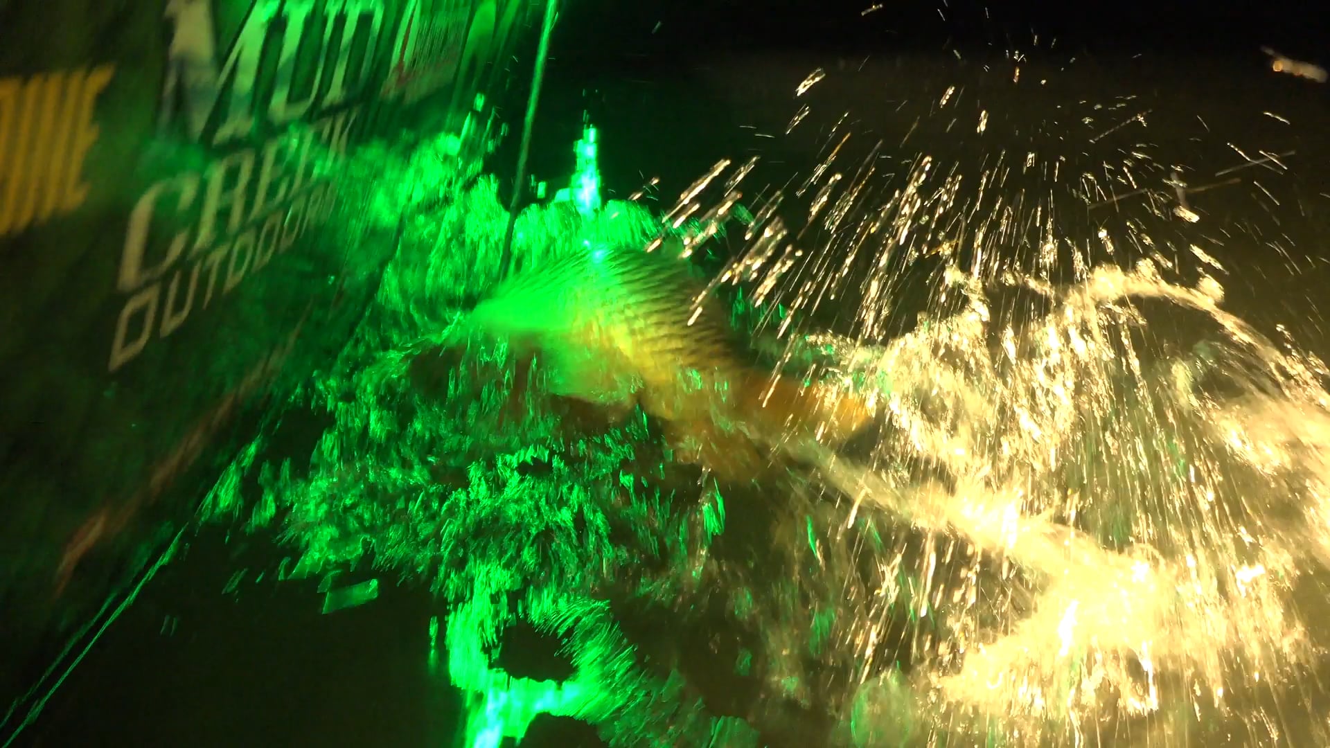 Nutria Rat • Tim Wells