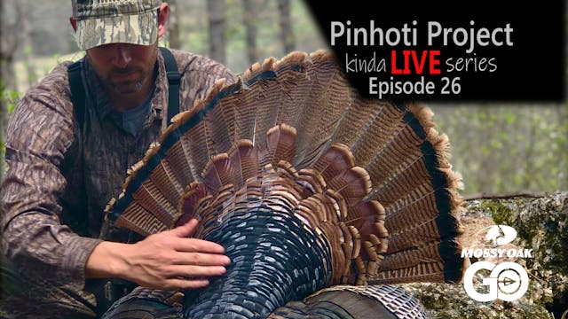 Kinda Live • Episode 26 • Pinhoti Pro...