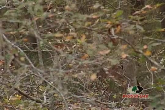 A View to a Kill • Make the Most of Every Opportunity