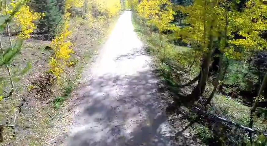 On the Road, Part 2 • Chasing Turkeys in Oklahoma