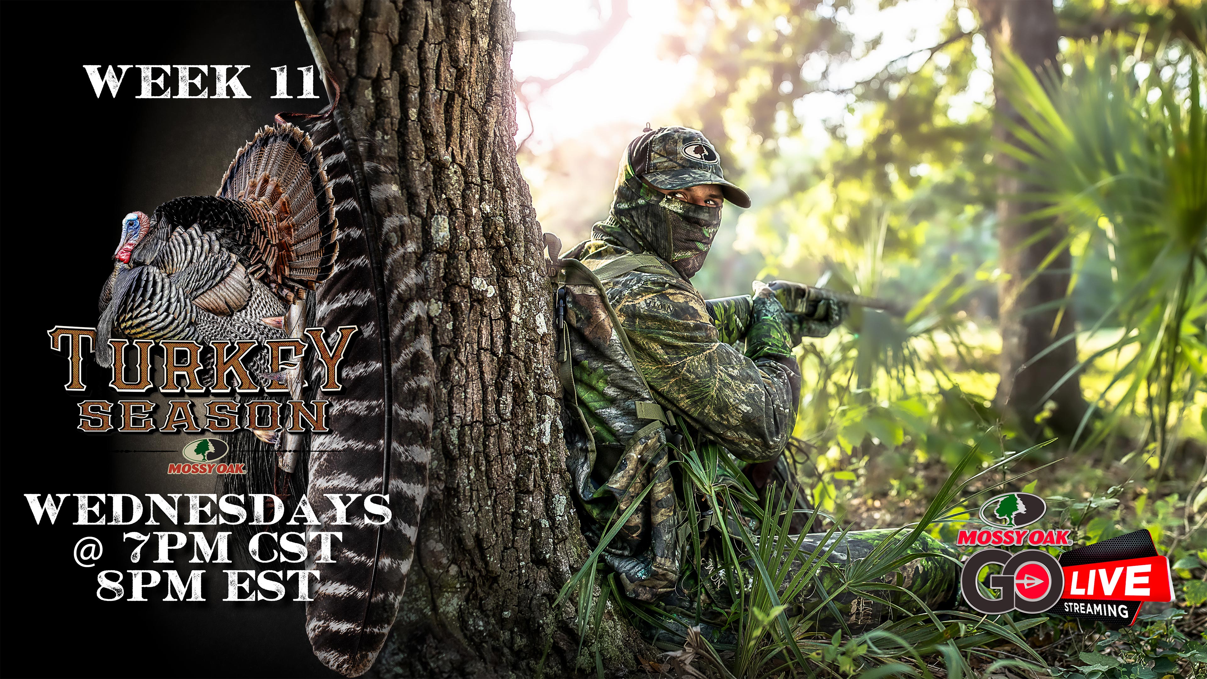 LIVE: 5.6.2020 Turkey Season Replay