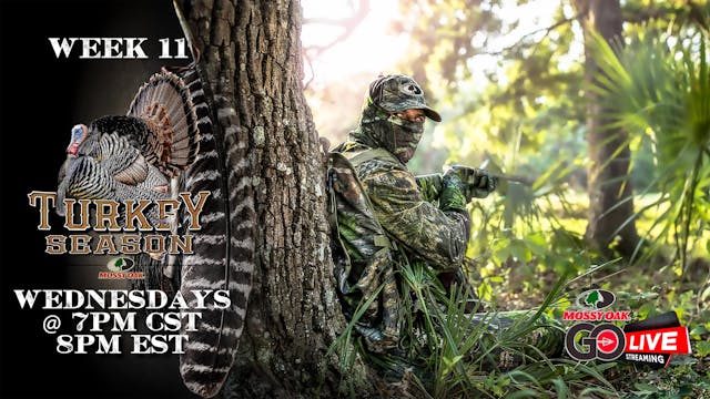 LIVE: 5.6.2020 Turkey Season Replay