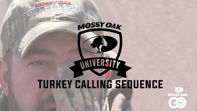 Josh Grossenbacher Turkey Calling • Audio Sequence