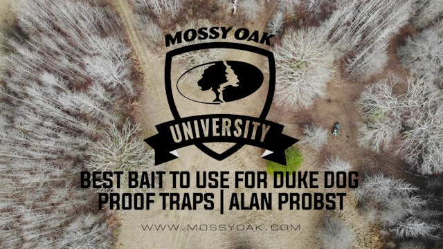 Best Bait to use for Duke Dog Proof Traps with Alan Probst