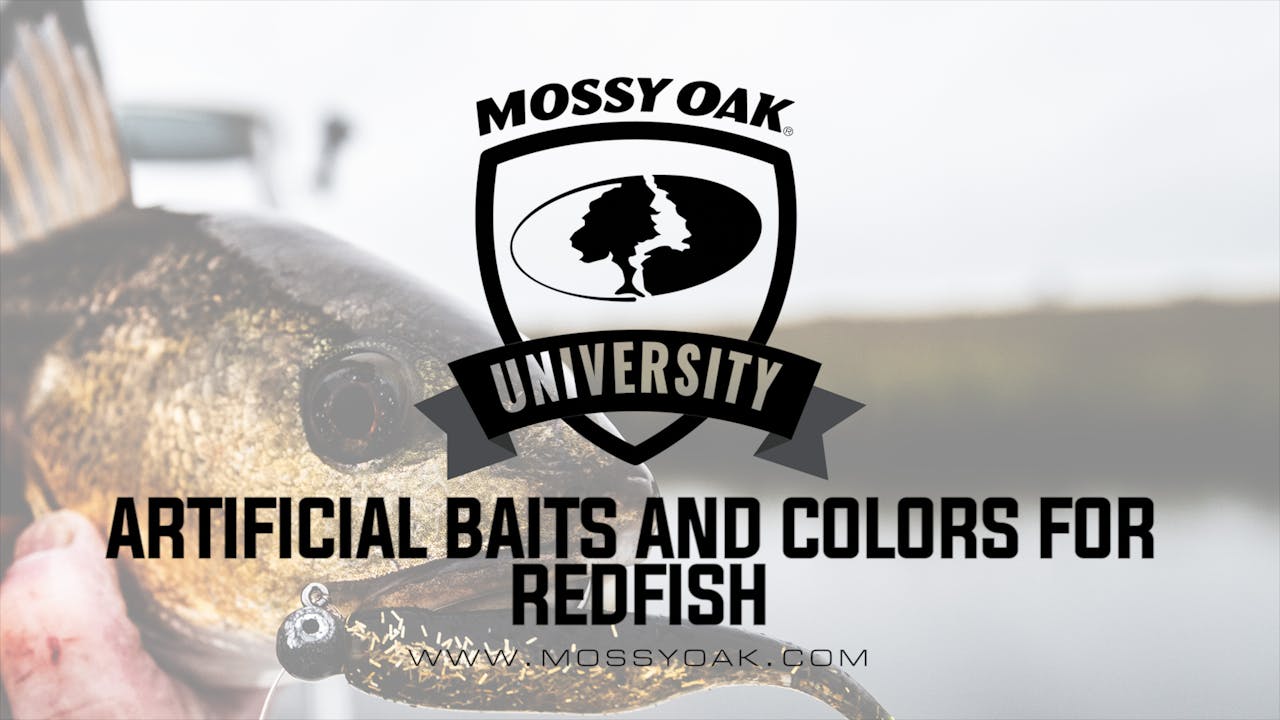 Best Artificial Baits & Bait Colors For Redfish Inshore Fishing Mossy Oak GO