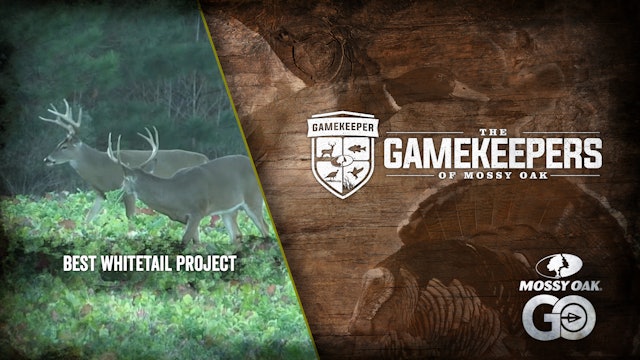Best Whitetail Project