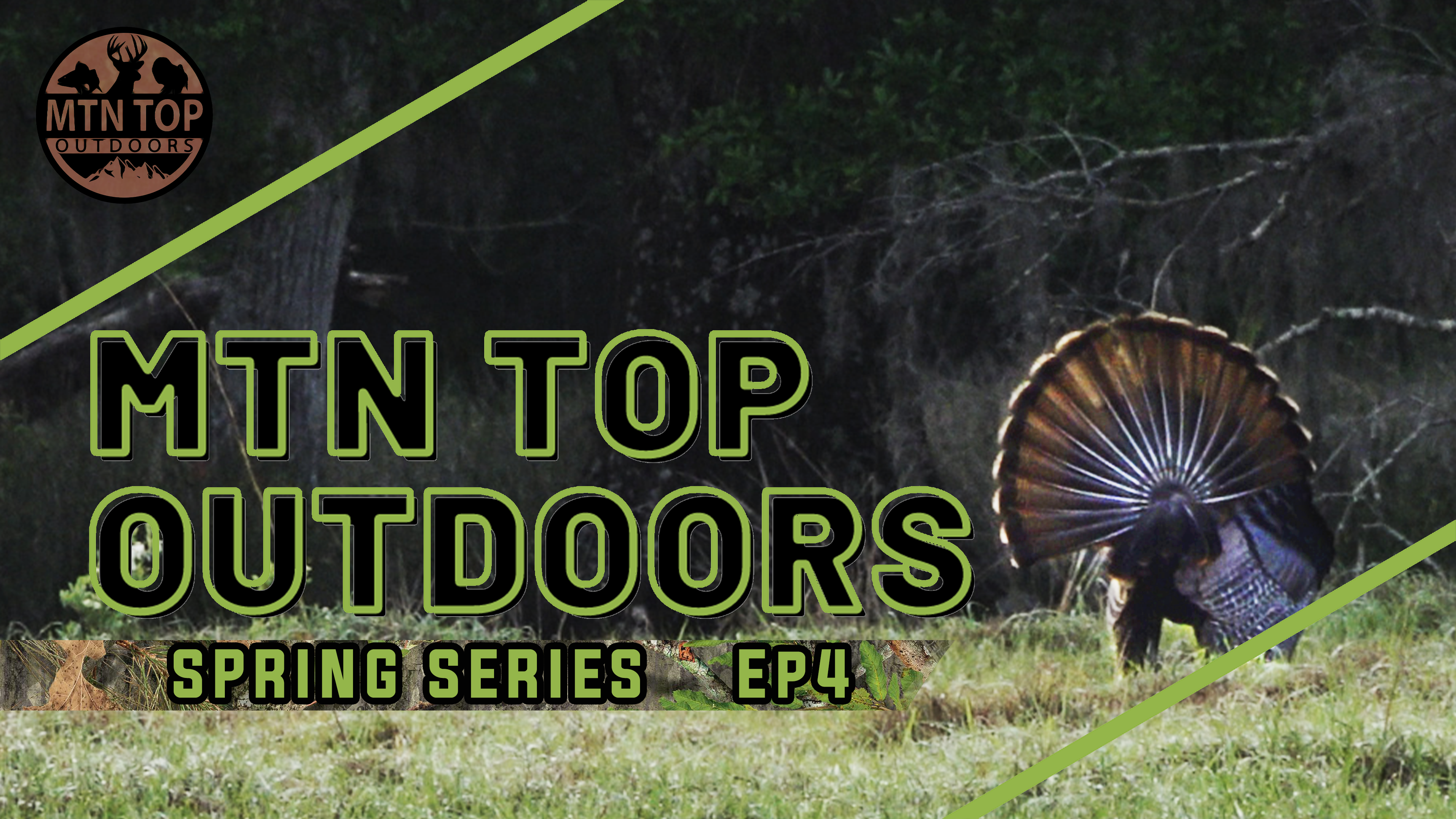 Spring Series • Episode 4 • The Sunshine State