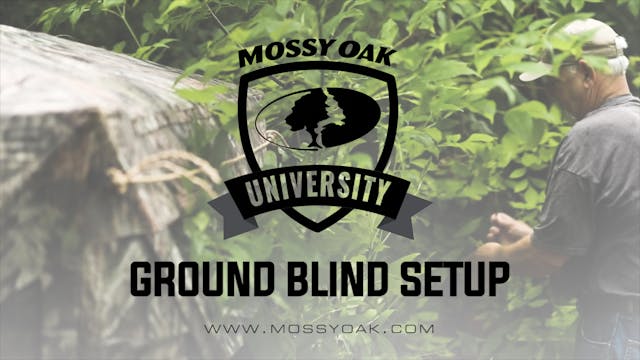 Ground Blind Setup