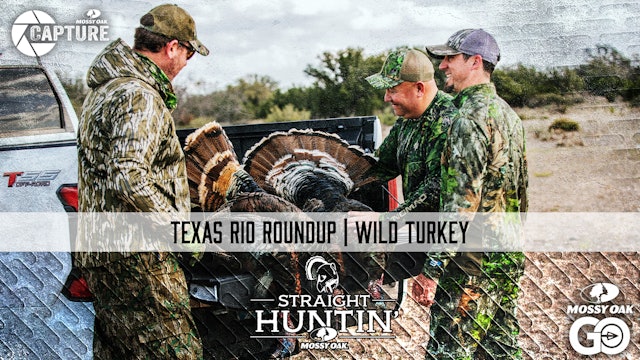 Texas Rio Roundup • Straight Huntin'