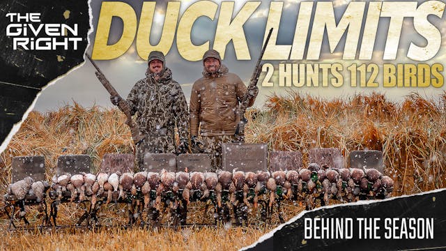 Snowstorm Mallards | Epic Saskatchewa...