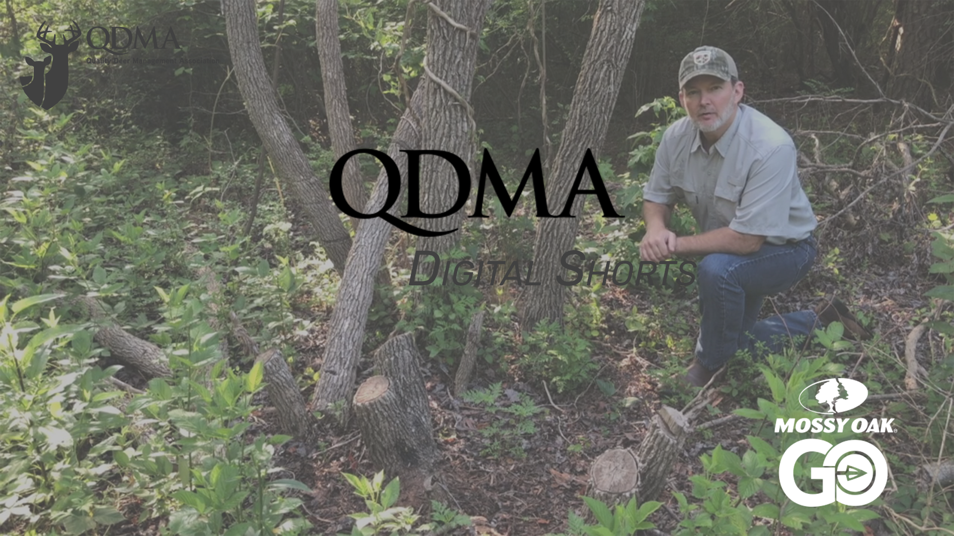 Forest Habitat Improvement • QDMA Shorts