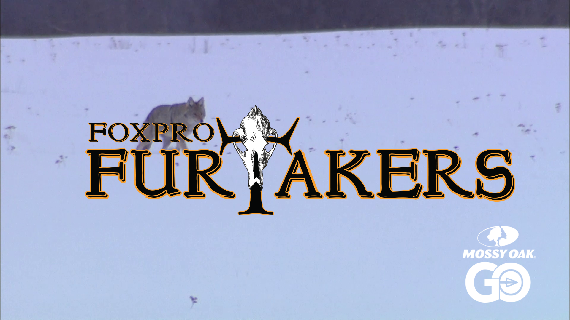 FOXPRO 1211 Saskatchewan_2 • Furtakers