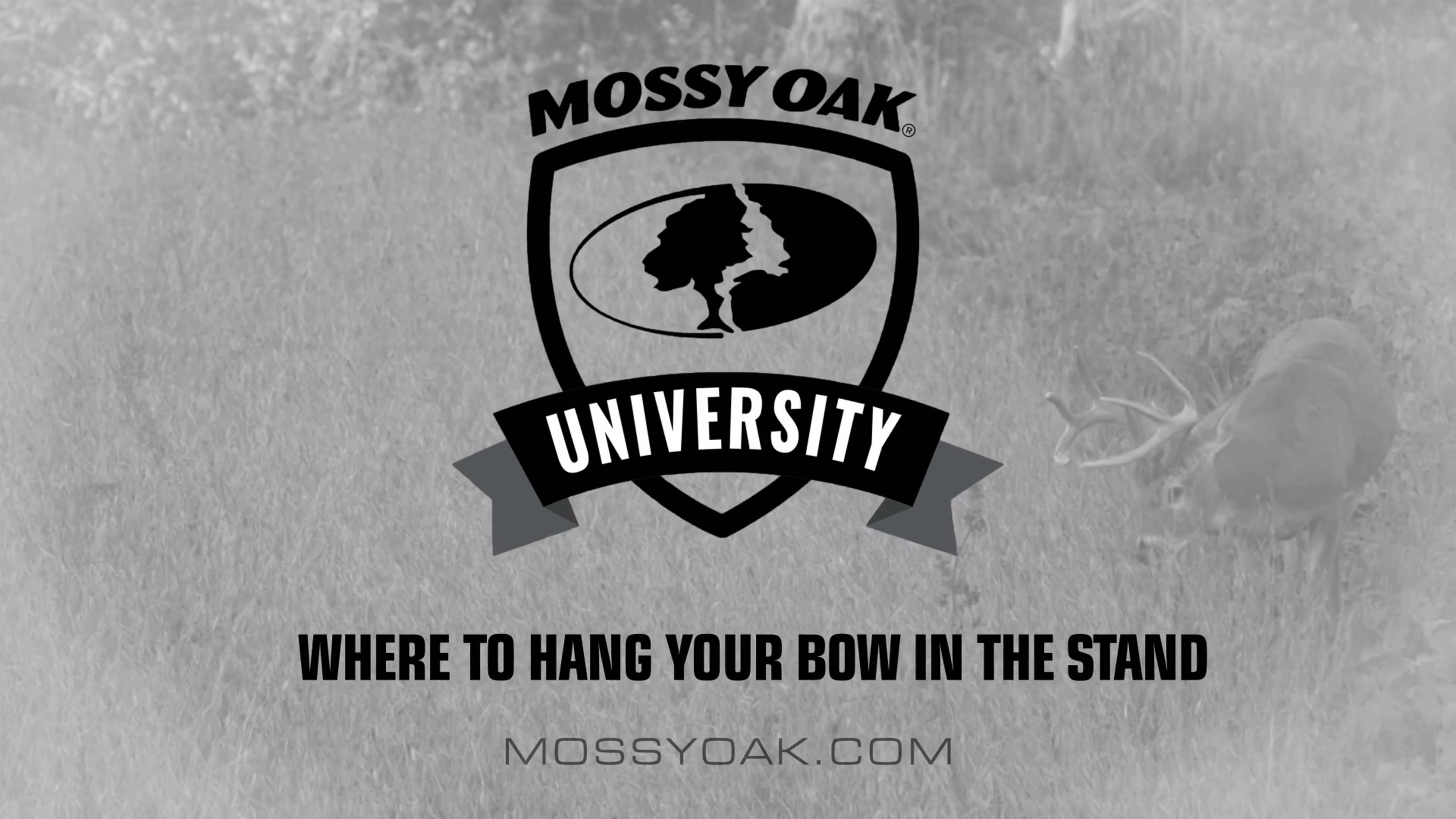 Best Location to Hang Your Bow in the Stand • Mossy Oak University