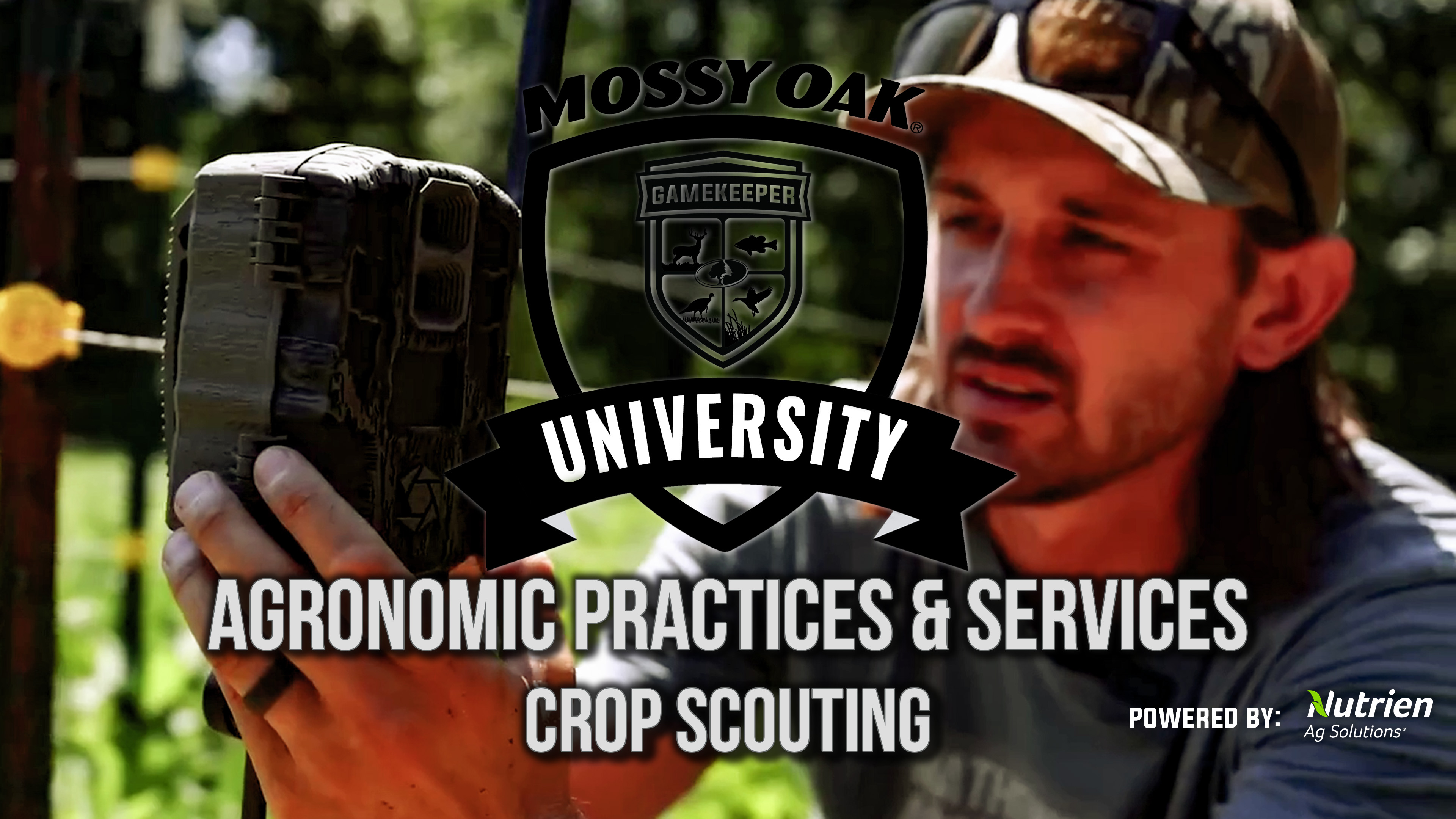 Agronomic Practices & Services: Crop Scouting