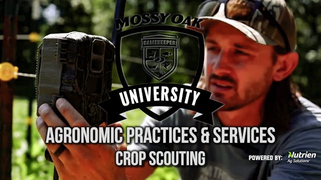 Agronomic Practices & Services: Crop ...