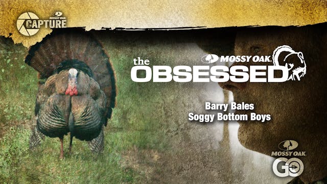 Barry Bales • The Obsessed