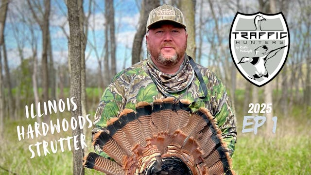 IL Hardwoods Strutter • Traffic Hunters