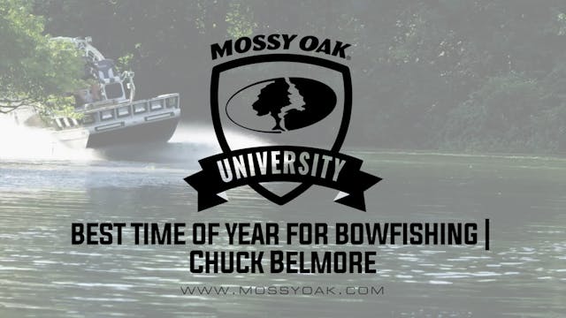 Best Time of Year for Bowfishing • Mo...