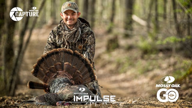 Jordan Lee • Impulse