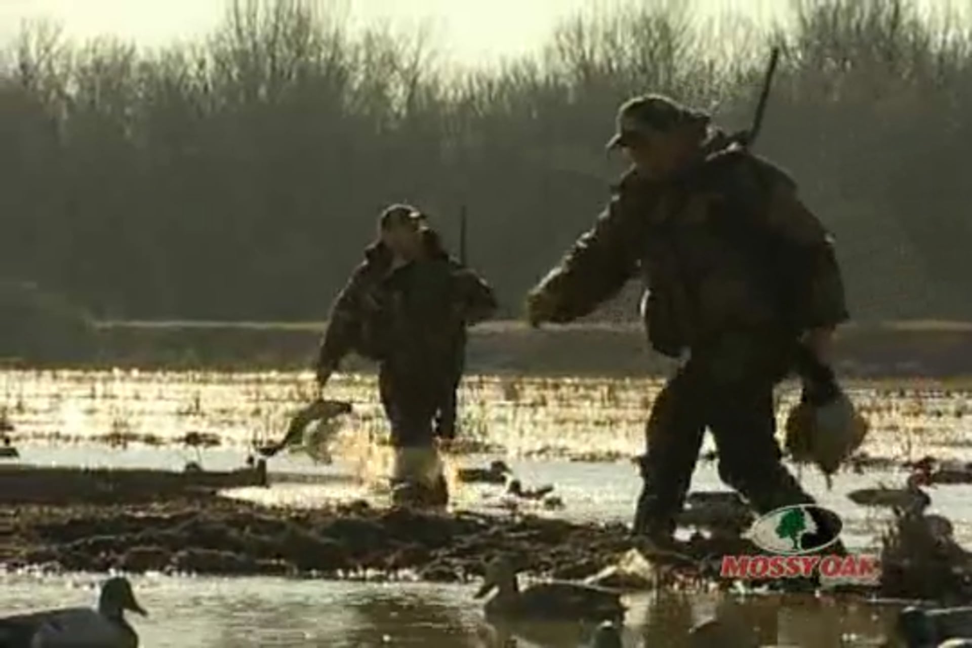 Waterfowl to Wapiti • Ducks in Arkansas - Elk Hunt in Colorado