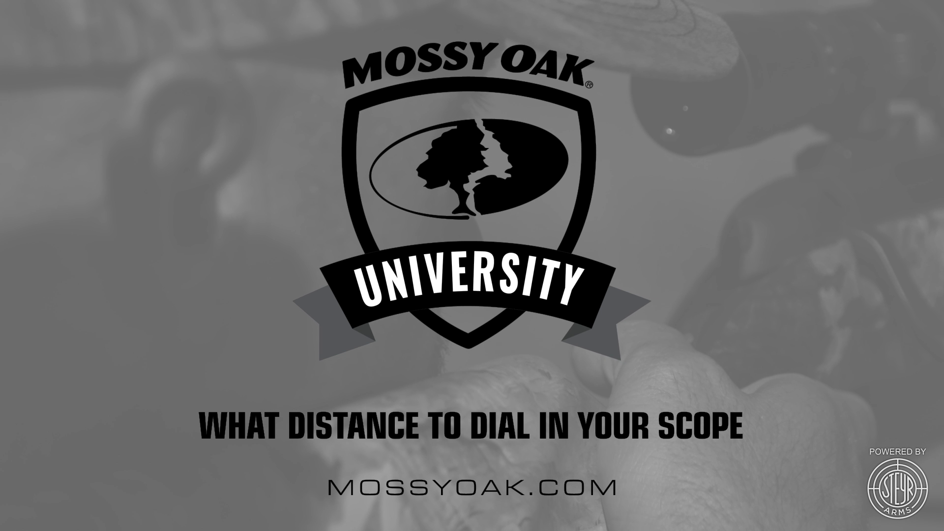 What Distance to Dial In Your Scope