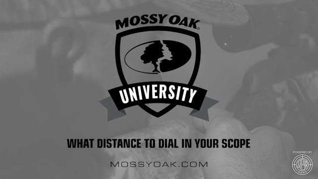 What Distance to Dial In Your Scope