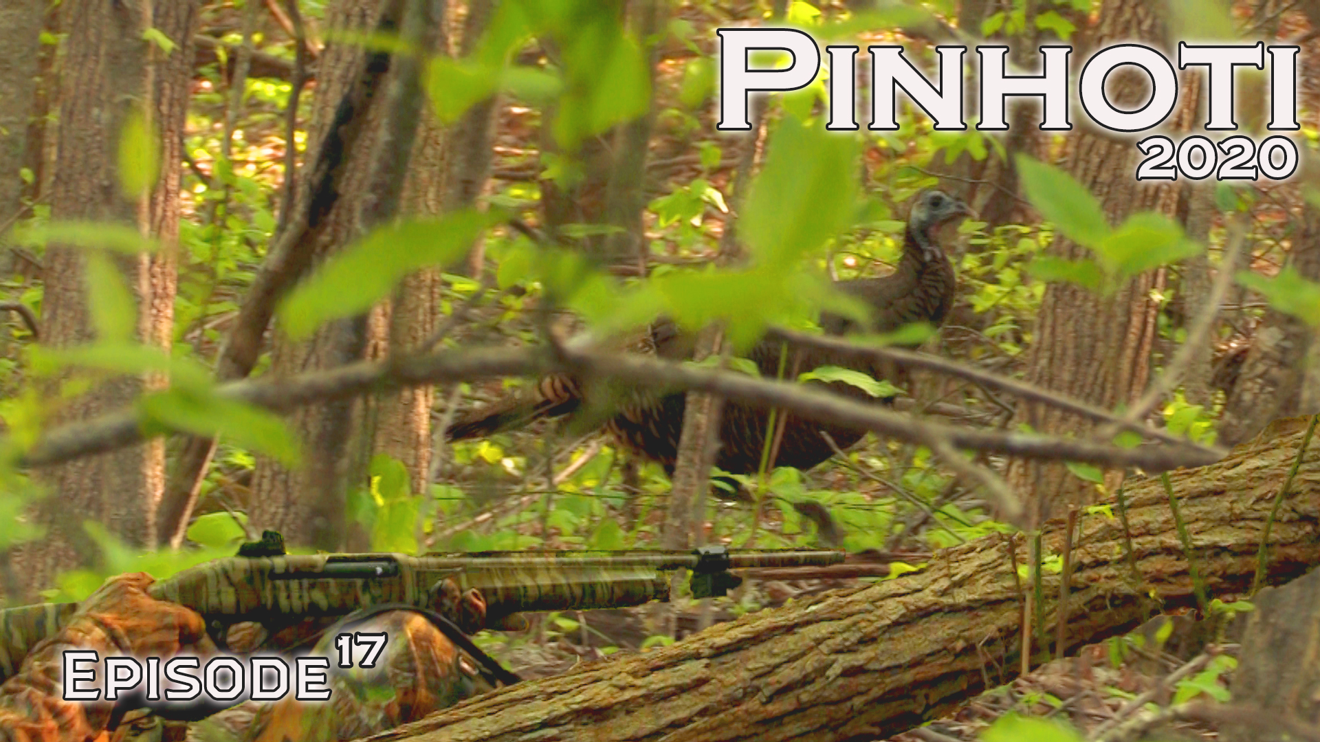 Pinhoti 2020 Ep 17 • Pinhoti Project