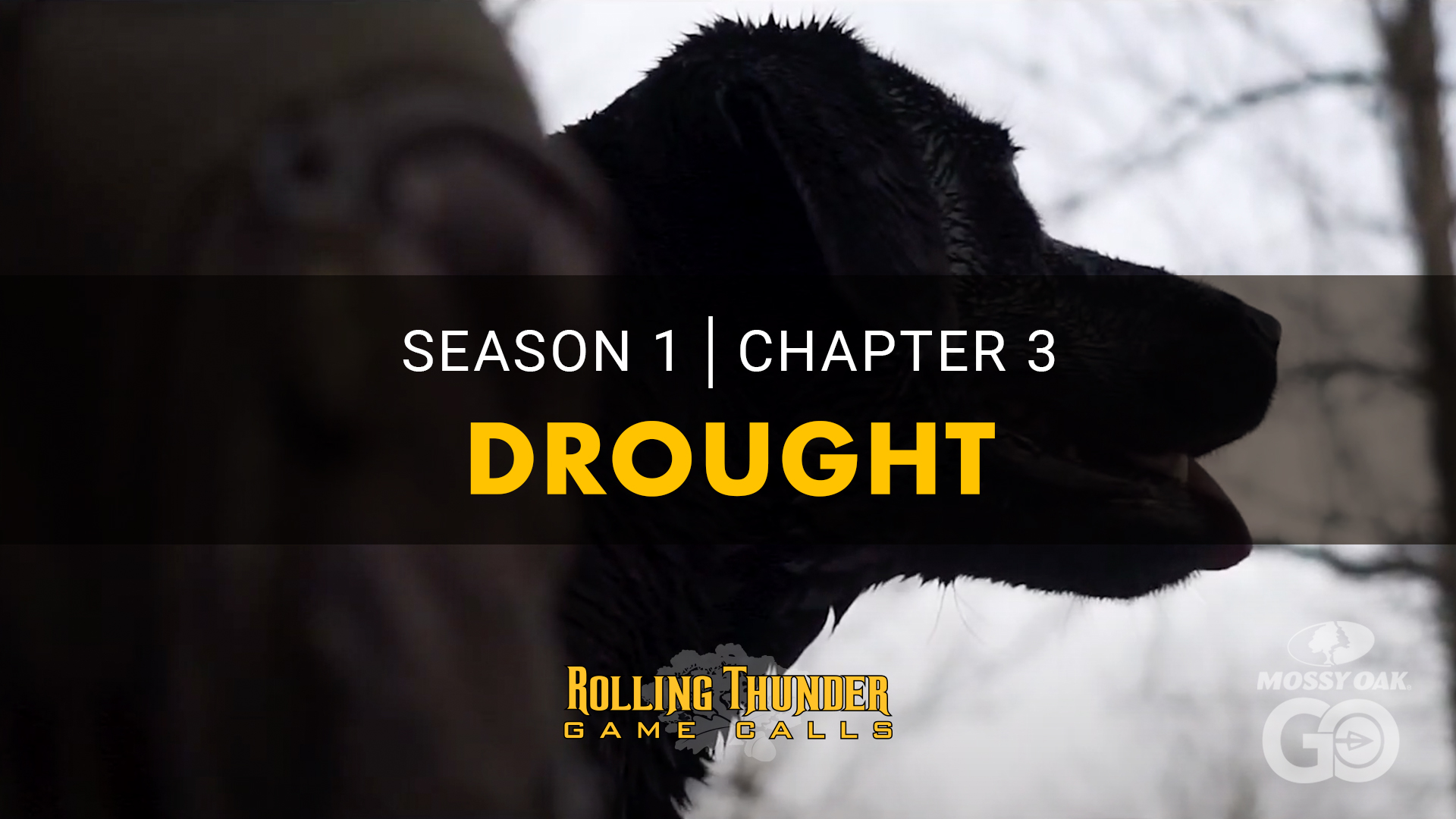 S1C3  Drought •  Rolling Thunder