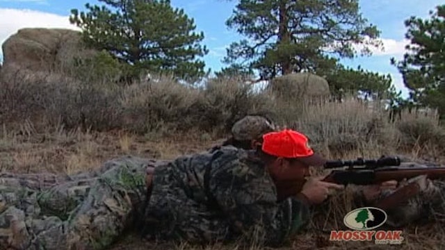 Three for 3 • Rifle Hunting Elk in Wyoming