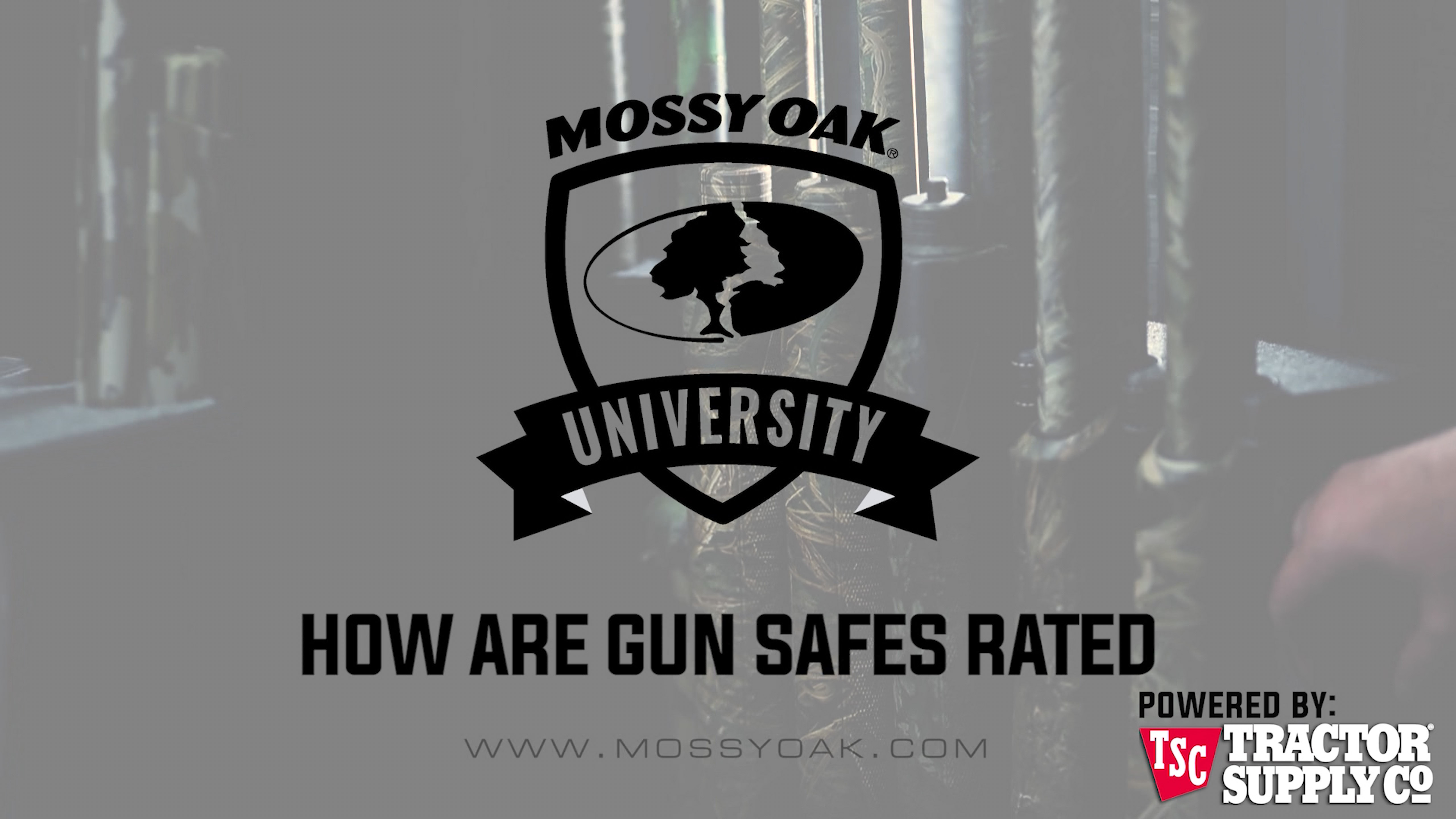 How are Gun Safes Rated • MOU