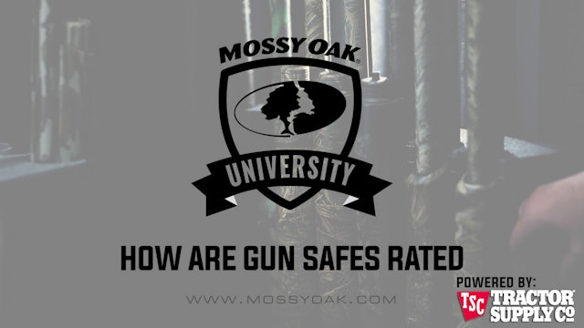 How are Gun Safes Rated • MOU