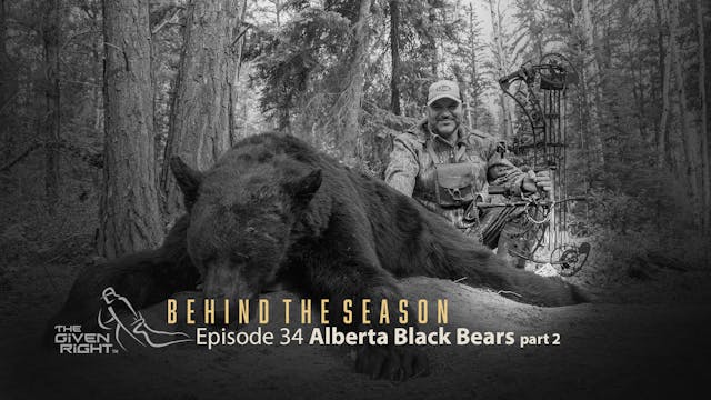 Alberta Black Bears part 2 • Behind t...