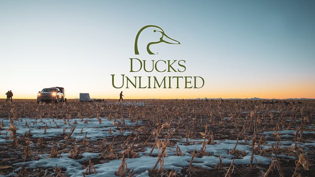 Oklahoma Odyssey • DU TV