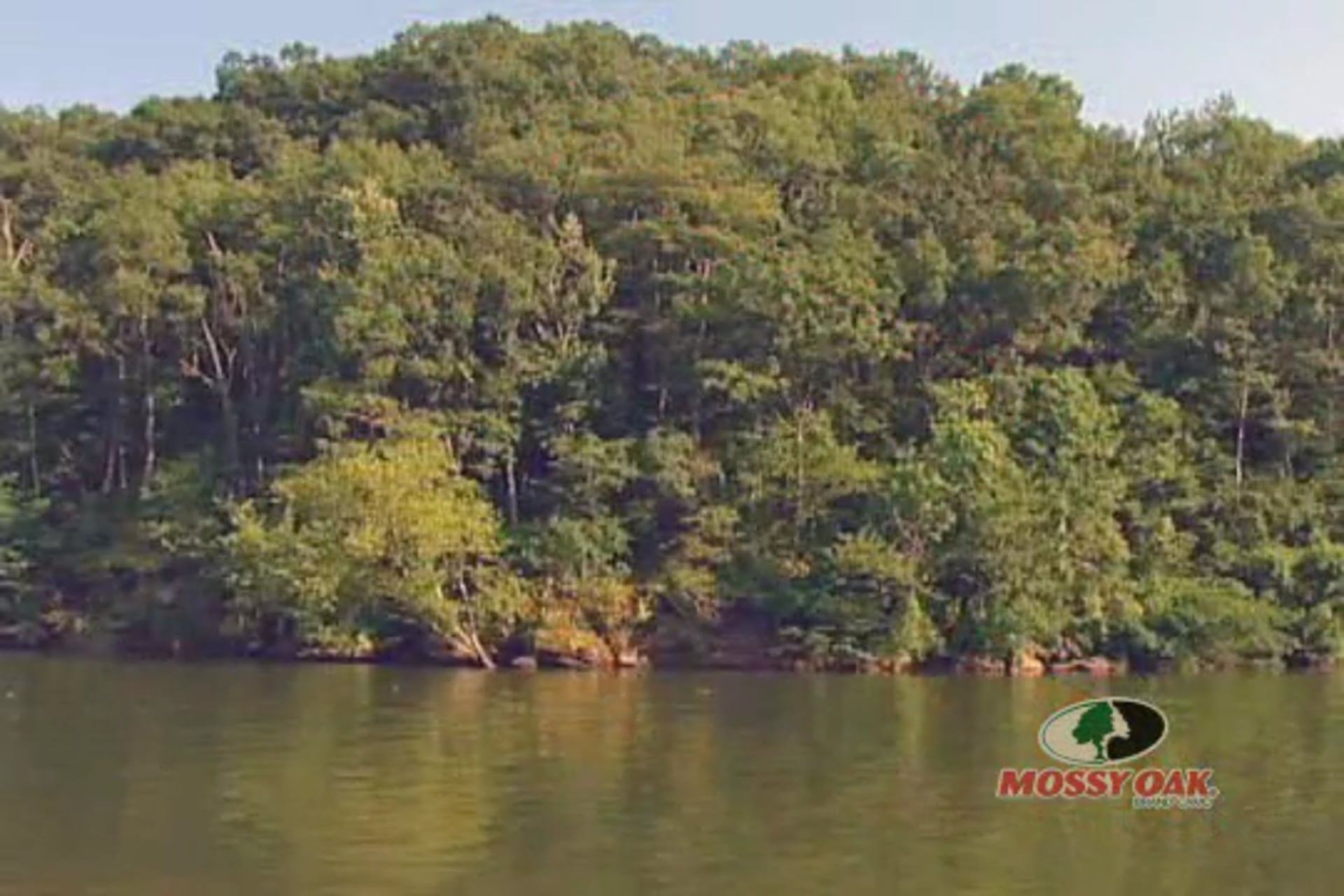 Missouri Buck Madness • Big Whitetails in the Show Me State