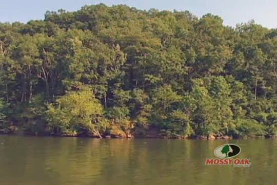 Missouri Buck Madness • Big Whitetail...